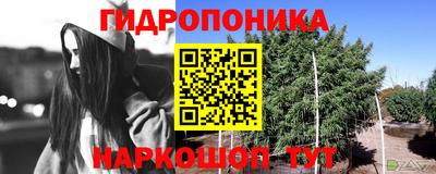 apvp Заволжье