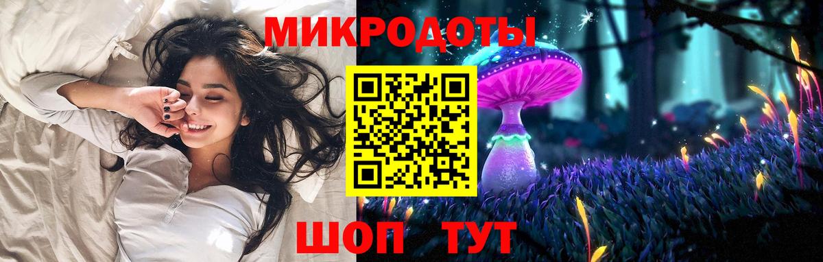 Галлюциногенные грибы Psilocybe Михайловка