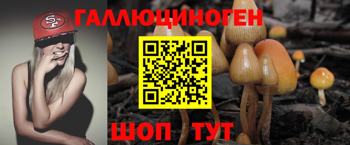 Галлюциногенные грибы мухоморы  Галлюциногенные грибы мицелий  Михайловка  Вход с VPN 